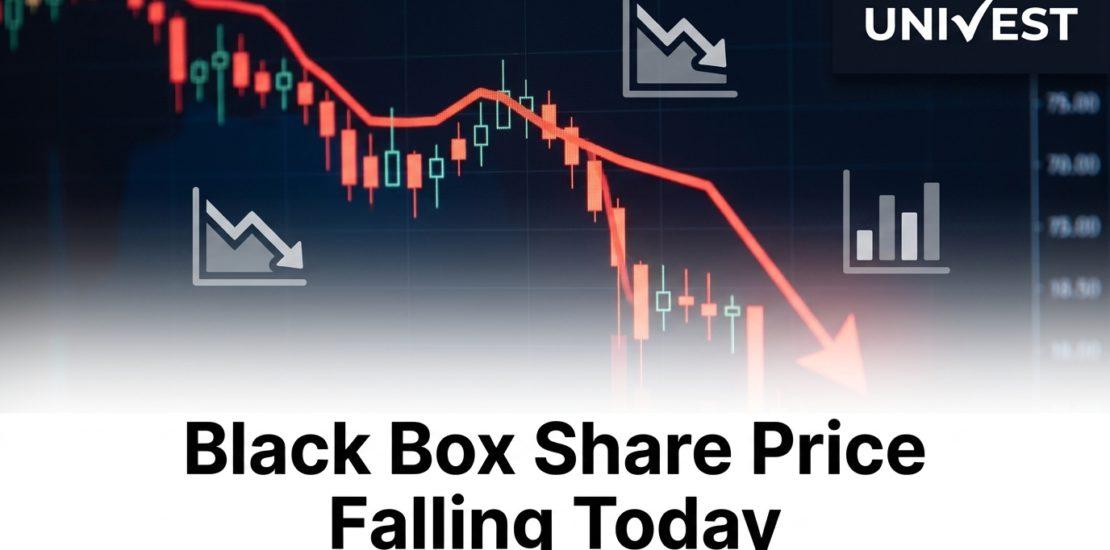 Black Box Share Price Falling Today
