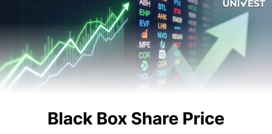 Black Box Share Price Falls 3.76 Percent