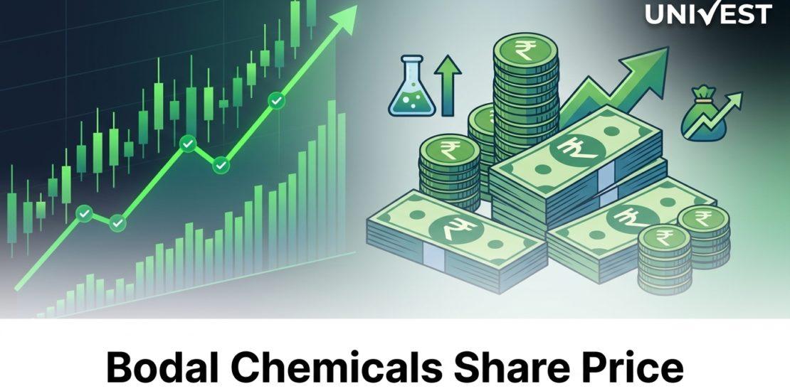 Bodal Chemicals Share Price