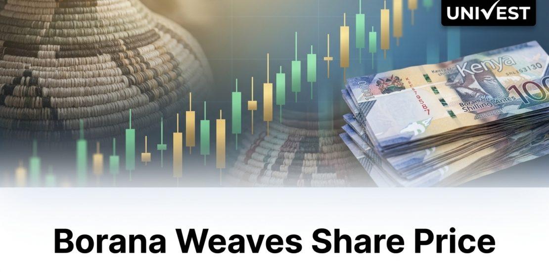 Borana Weaves Share Price