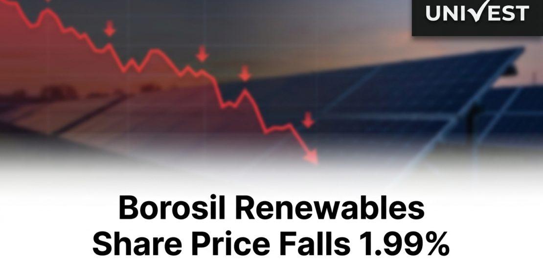 Borosil Renewables Share Price Falls 1.99%