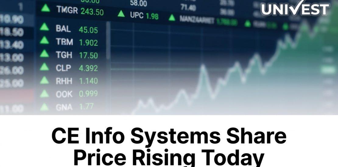 CE Info Systems Share Price Rising Today