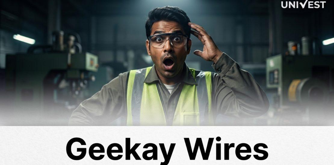 Geekay Wires Q1 Results FY27