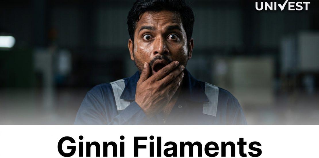 Ginni Filaments Q1 Results FY27