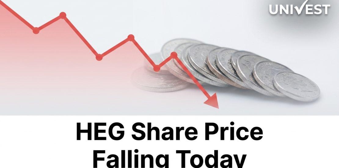 HEG Share Price Falling Today