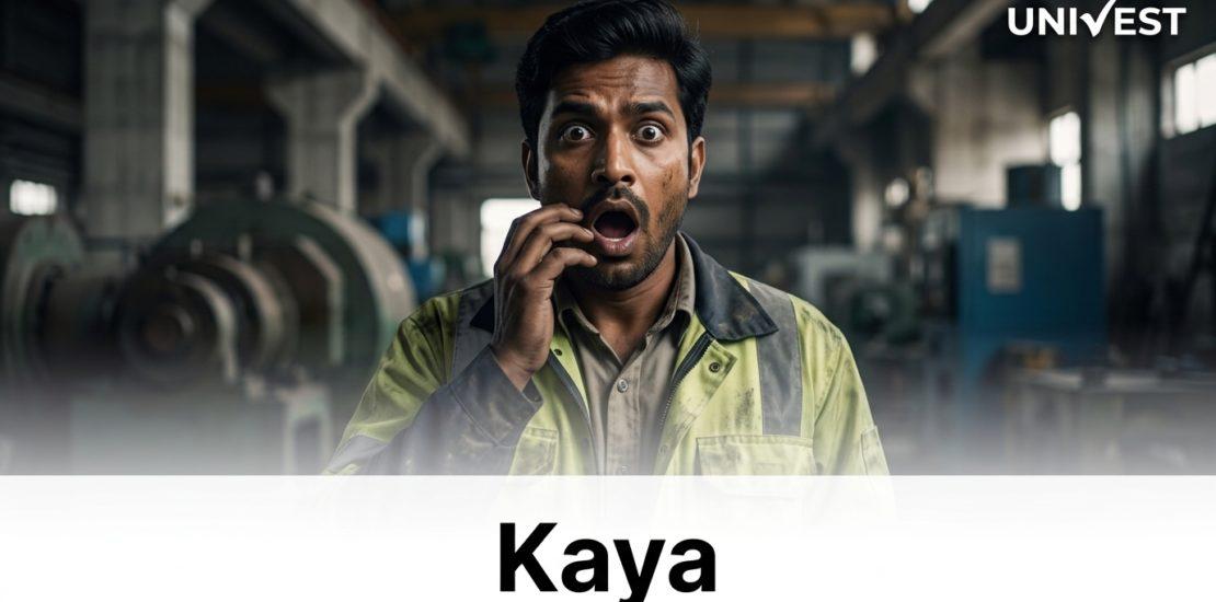 Kaya Q1 Results FY27