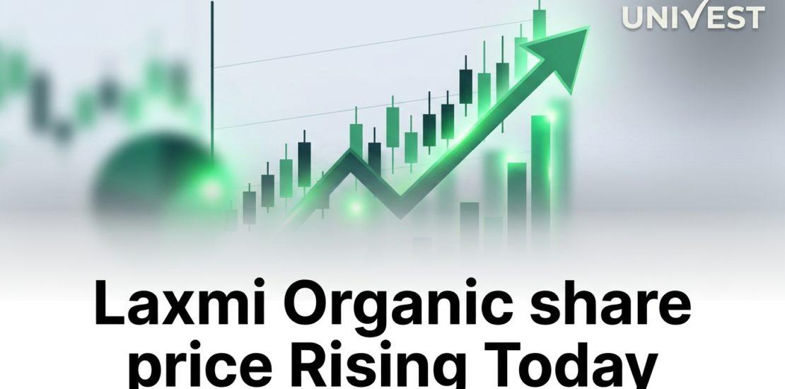 Laxmi Organic share price Rising Today