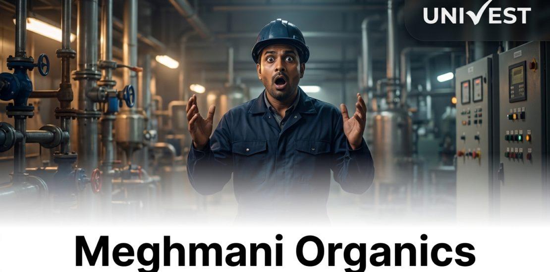 Meghmani Organics Q1 Results FY27