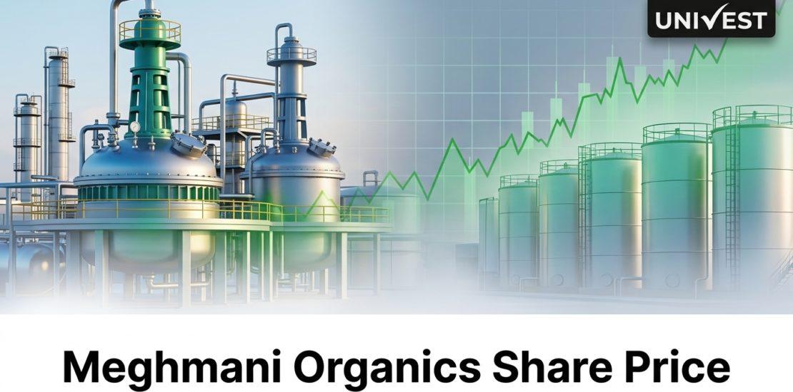 Meghmani Organics Share Price