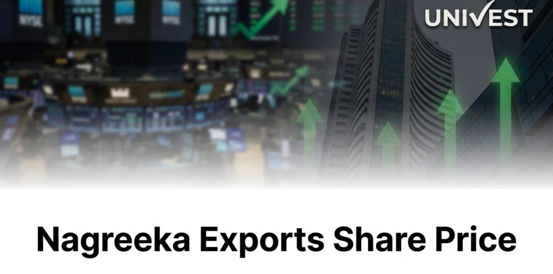 Nagreeka Exports Share Price Outlook