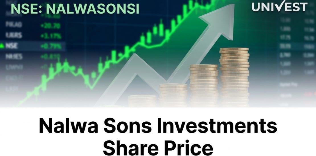 Nalwa Sons Investments Share Price