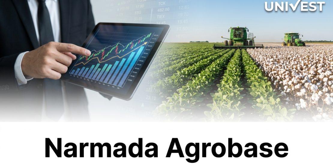 Narmada Agrobase Share Price Target 2026