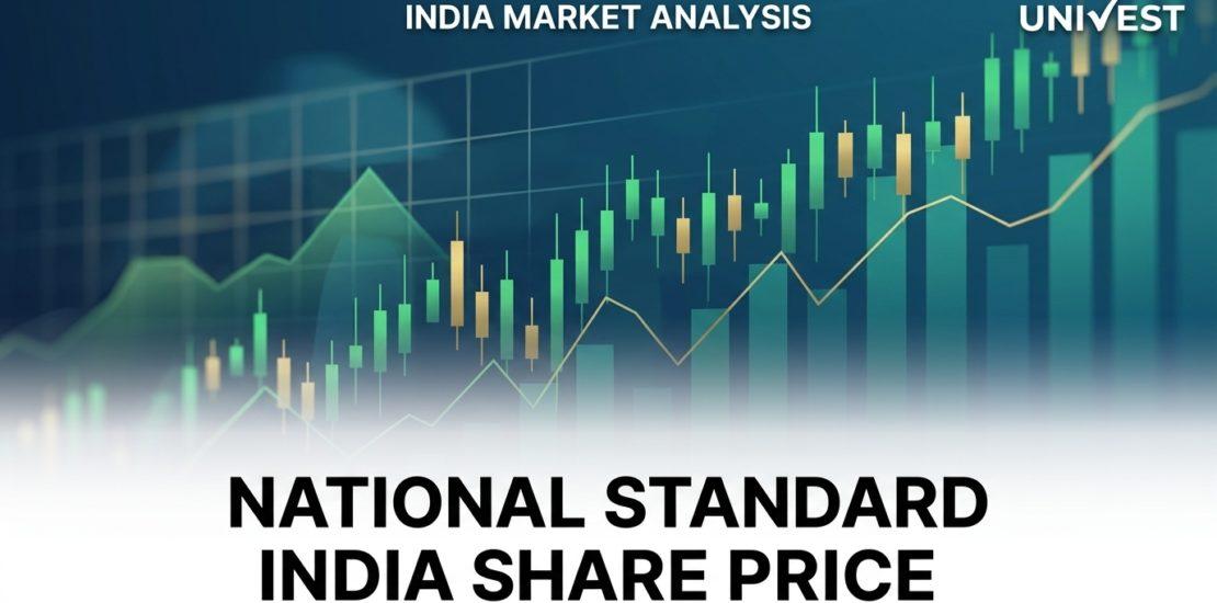 National Standard India Share Price Falls