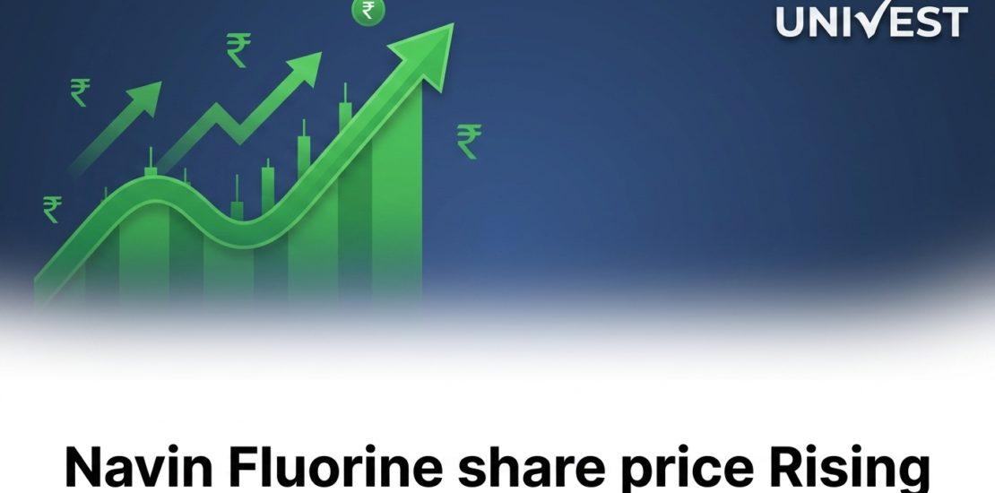Navin Fluorine share price Rising Today