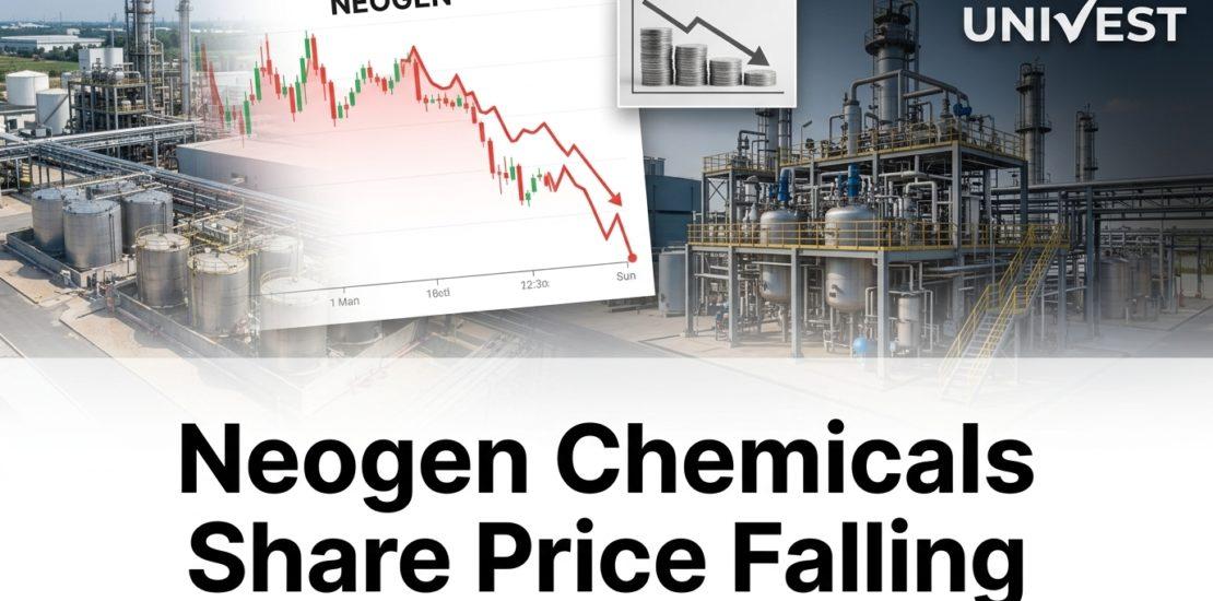 Neogen Chemicals Share Price Falling