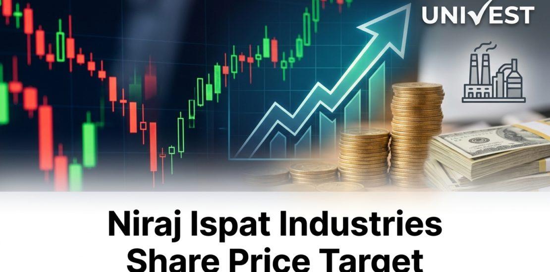 Niraj Ispat Industries Share Price Target