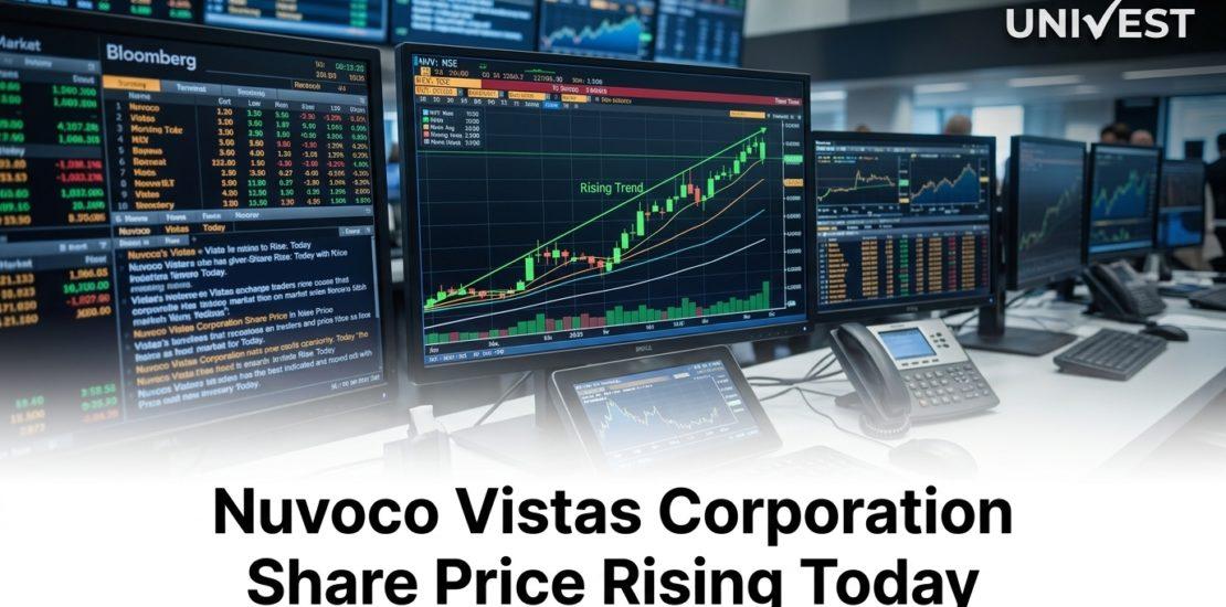 Nuvoco Vistas Corporation Share Price Rising Today,