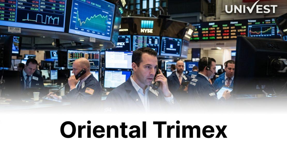 Oriental Trimex Share Price Target 2026