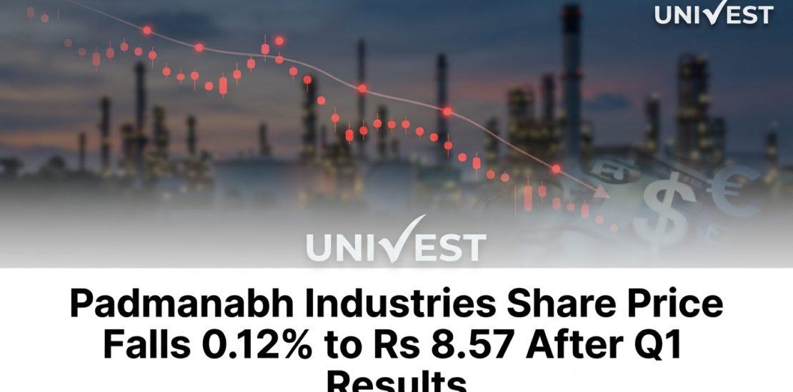 Padmanabh Industries Share Price Falls 0.12% to Rs 8.57 After Q1 Results