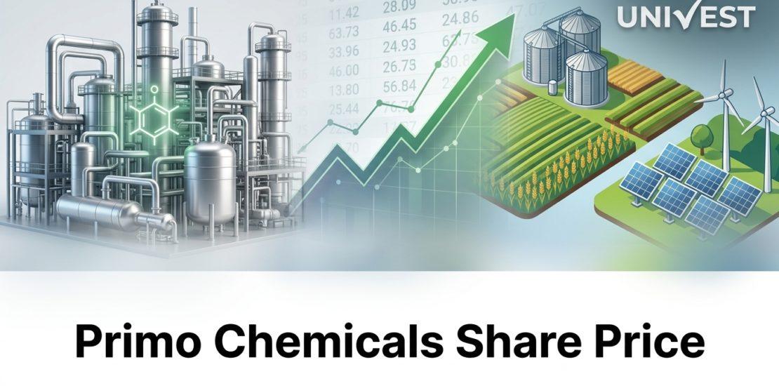 Primo Chemicals Share Price