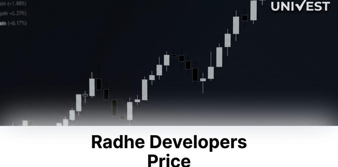 Radhe Developers Share Price Falls