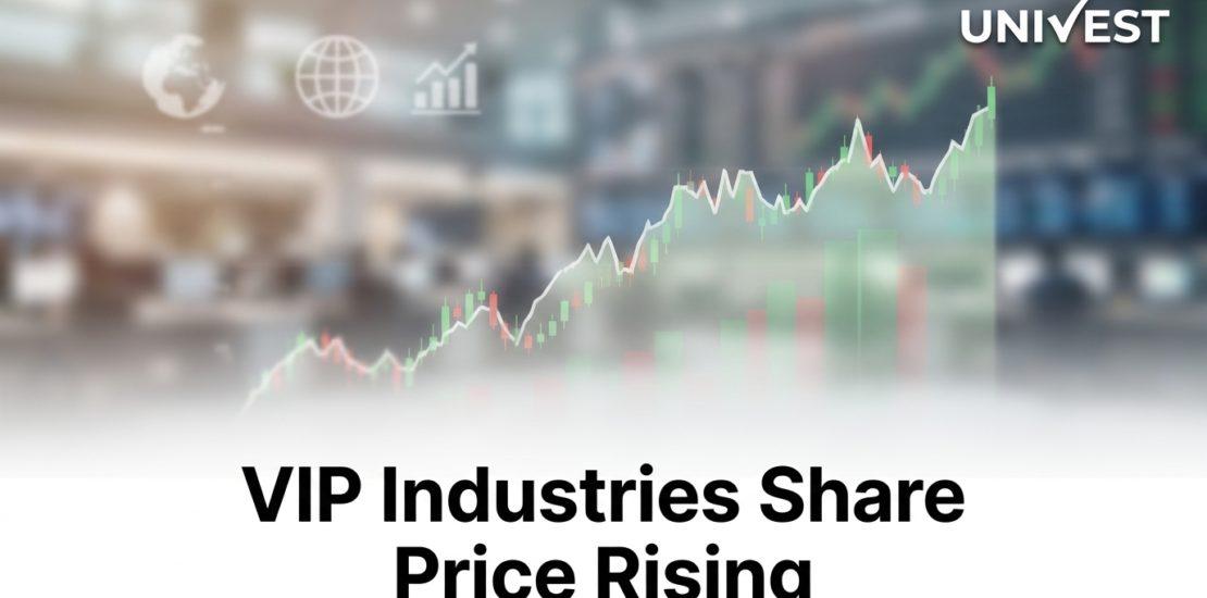 VIP Industries Share Price Rising