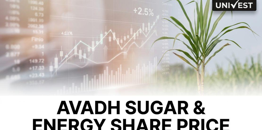 Where Is Avadh Sugar & Energy Share