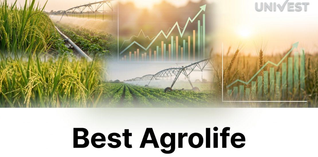 Where Is Best Agrolife Share Price Headed Over the Next 3 Years?