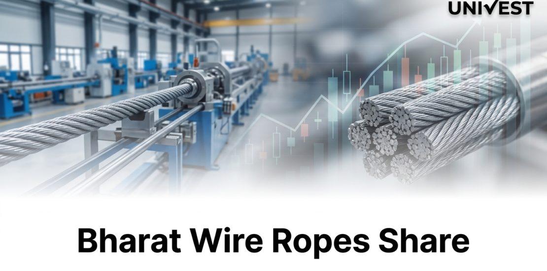 Where Is Bharat Wire Ropes Share Price