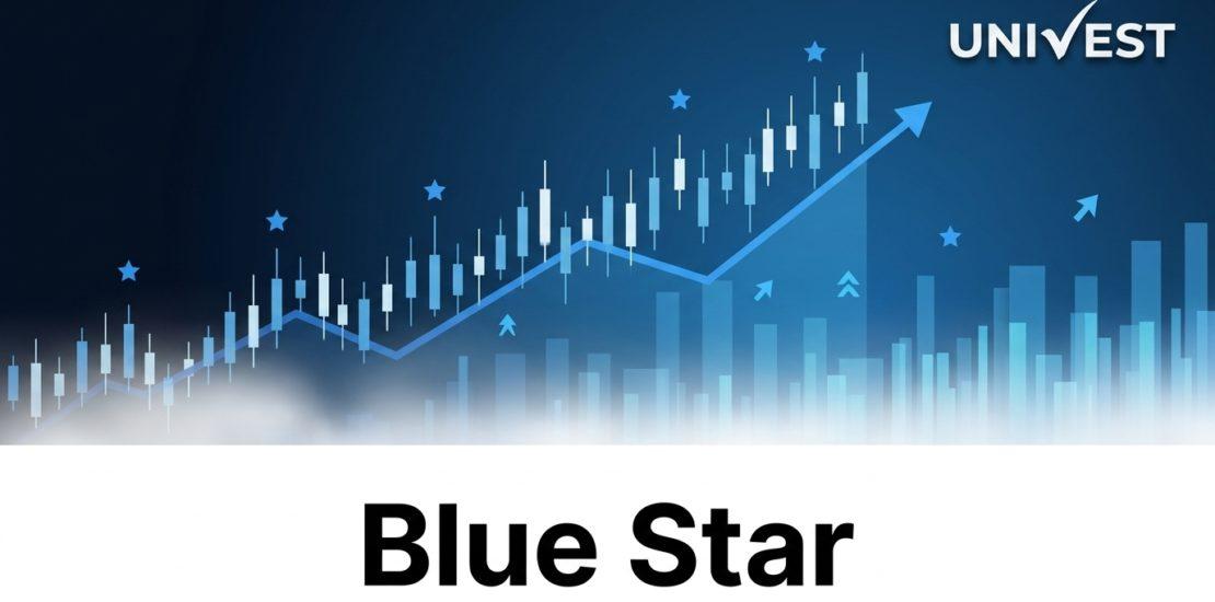 Where Is Blue Star Share Price Headed Over the Next 3 Years?
