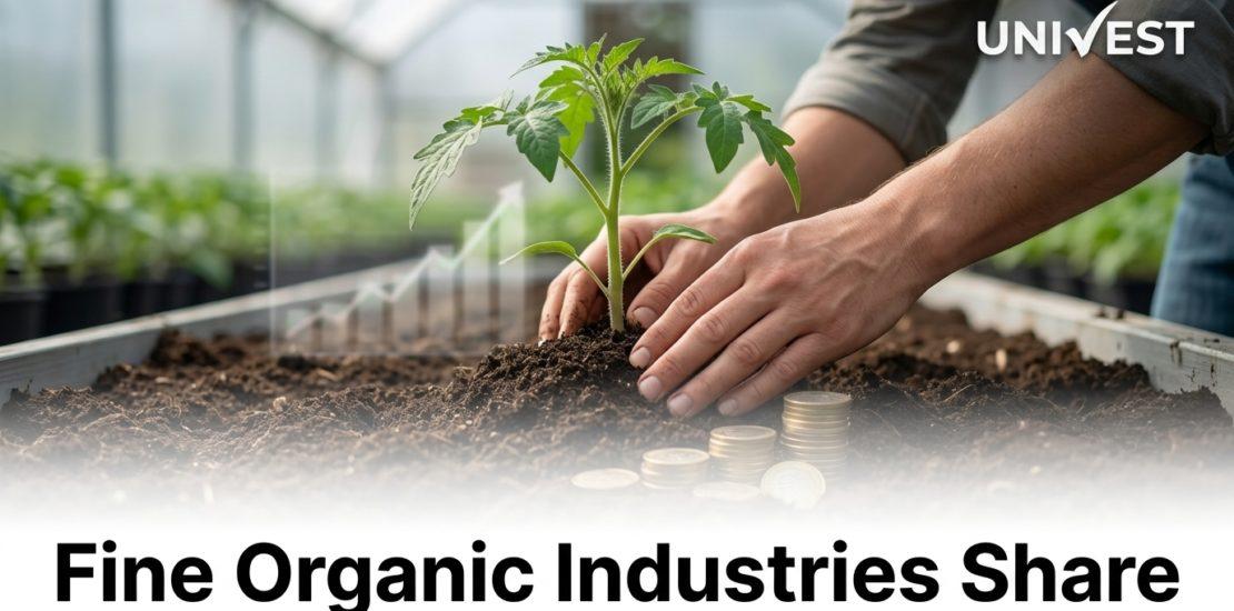 Where Is Fine Organic Industries Share Price