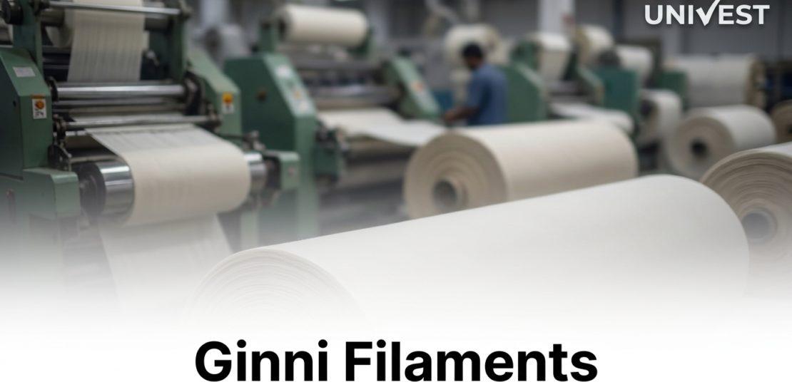 Where Is Ginni Filaments Share Price