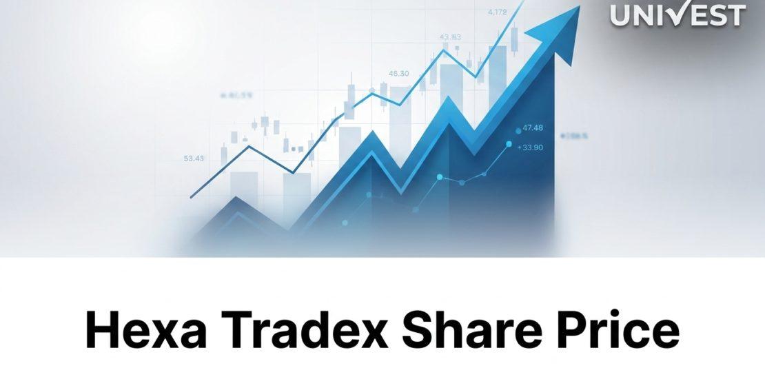 Where Is Hexa Tradex Share Price Headed Over the Next 3 Years?
