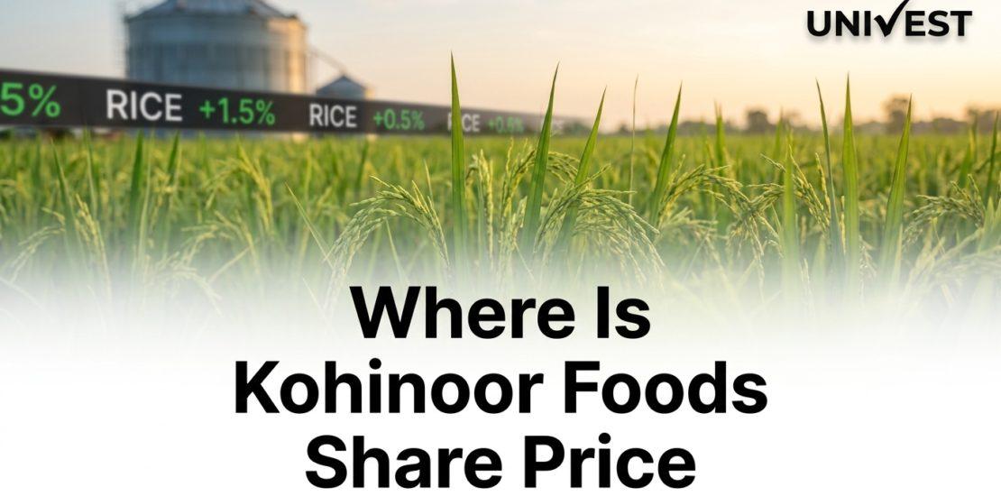 Where Is Kohinoor Foods Share Price