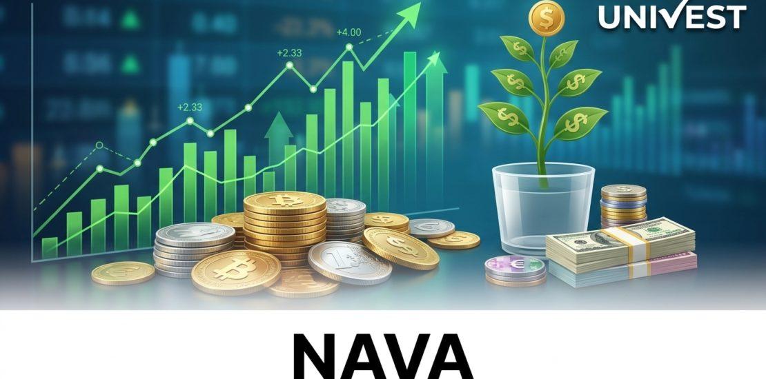 Where Is NAVA Share Price Headed Over the Next 3 Years?