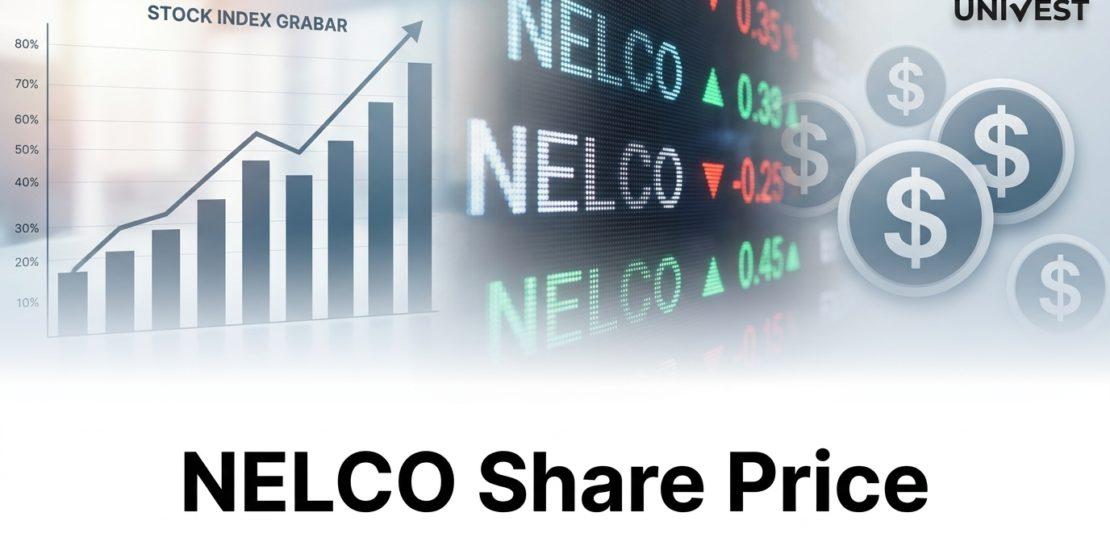 Where Is NELCO Share Price