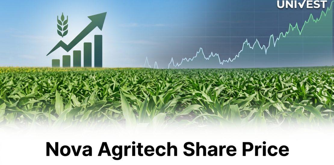 Where Is Nova Agritech Share Price Headed Over the Next 3 Years?