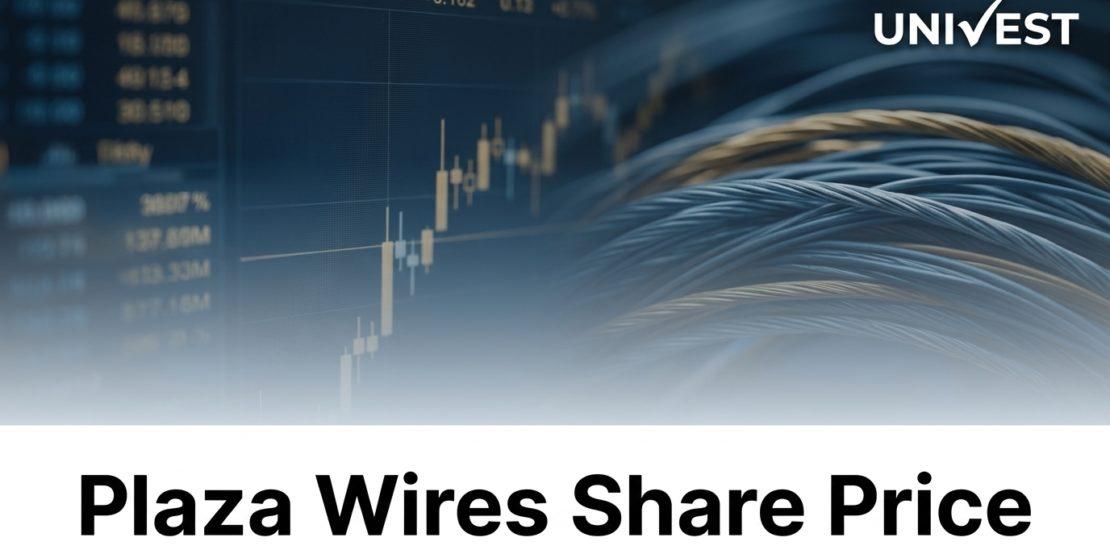 Where Is Plaza Wires Share Price Headed Over the Next 3 Years?
