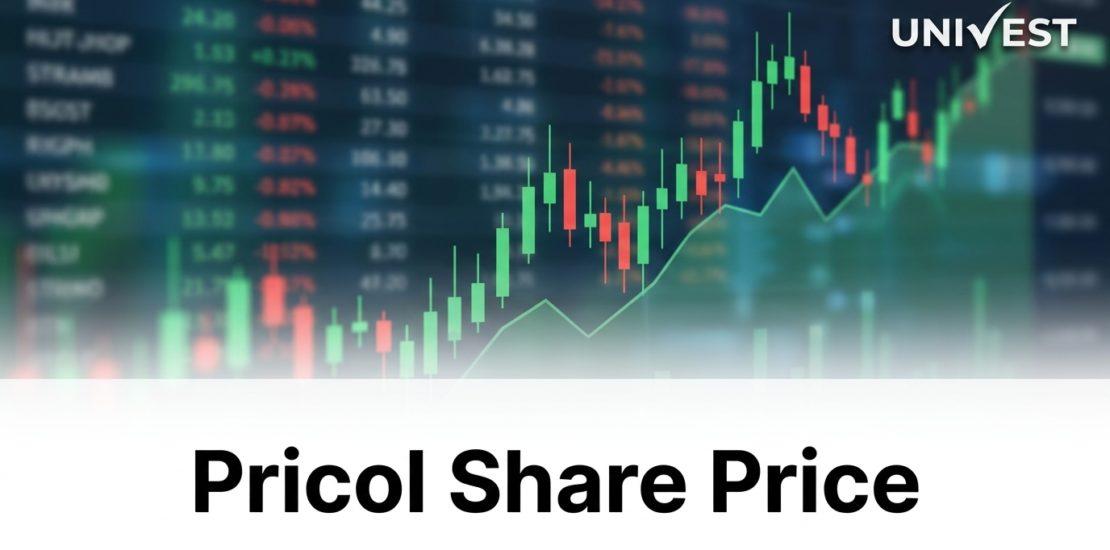 Where Is Pricol Share Price Headed Over the Next 3 Years?