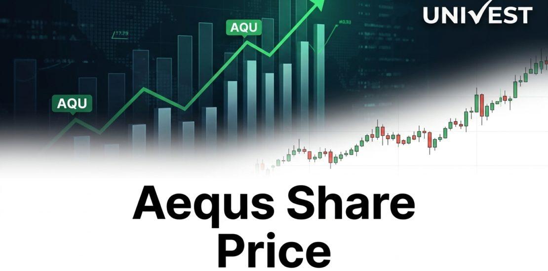 Where Will Aequs Share Price Be in the Next 3 Years?
