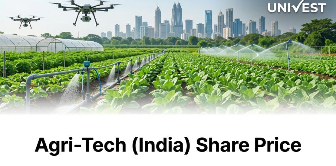 Where Will Agri-Tech (India) Share Price