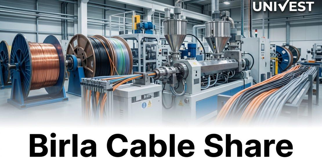 Where Will Birla Cable Share Price