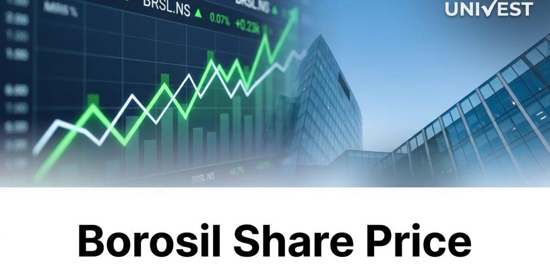 Where Will Borosil Share Price Be in the Next 3 Years?