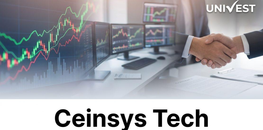Where Will Ceinsys Tech Share Price Be in the Next 3 Years?