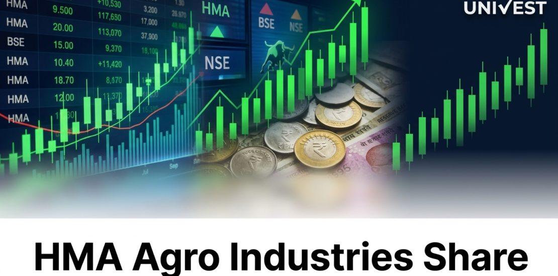 Where Will HMA Agro Industries Share Price