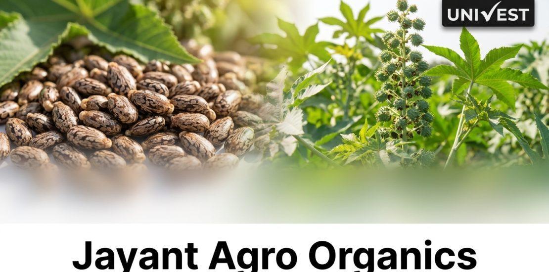 Where Will Jayant Agro Organics Share