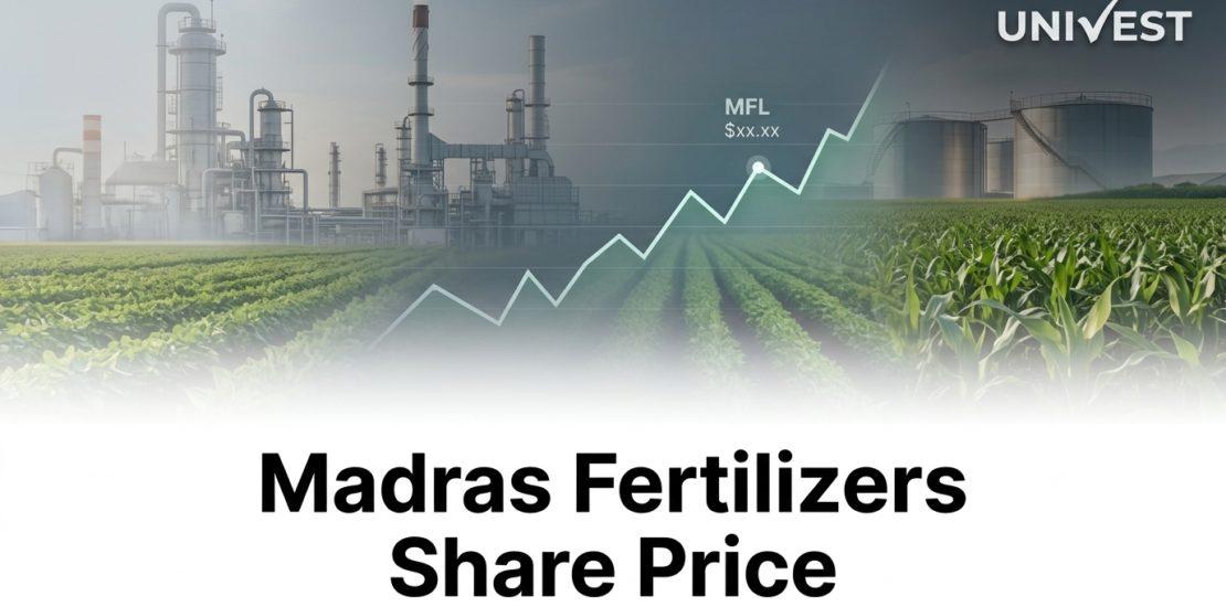 Where Will Madras Fertilizers Share Price Be in the Next 3 Years?