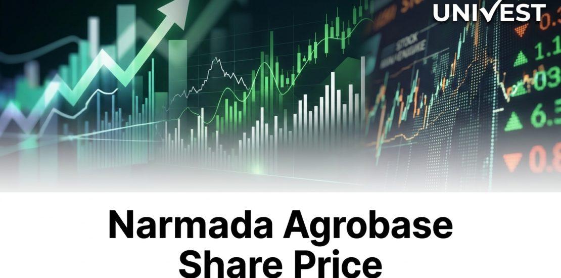 Where Will Narmada Agrobase Share Price