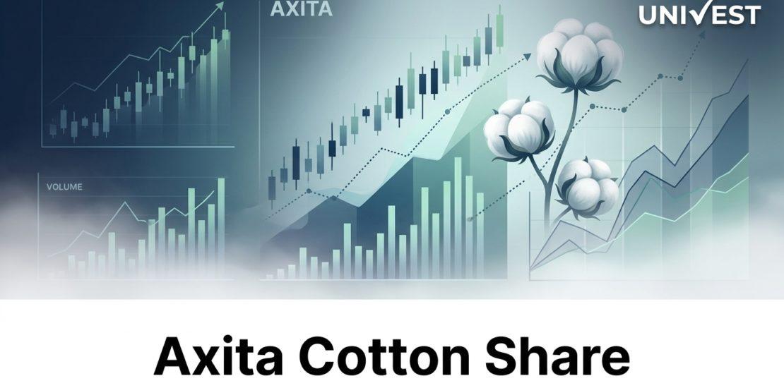 Why Is Axita Cotton Share Price Falling