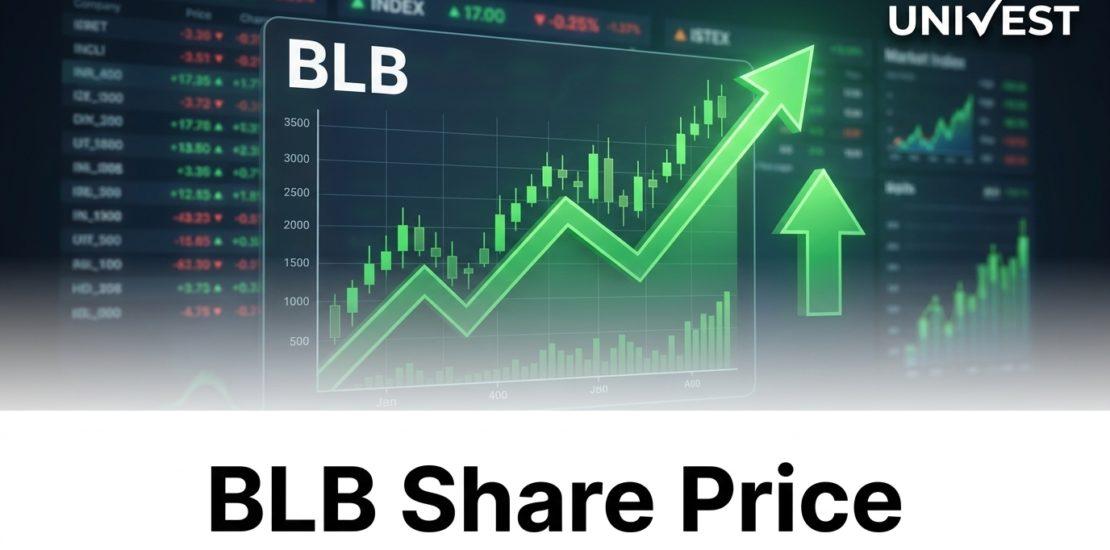Why Is BLB Share Price Falling